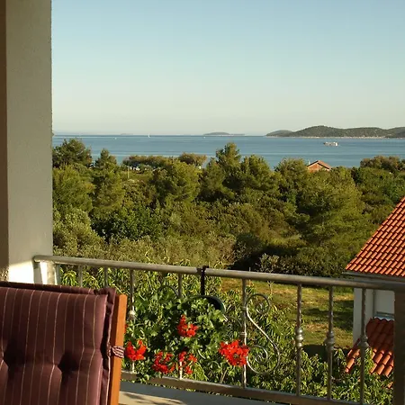 Arta Vodice