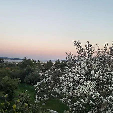 Apartment Arta *