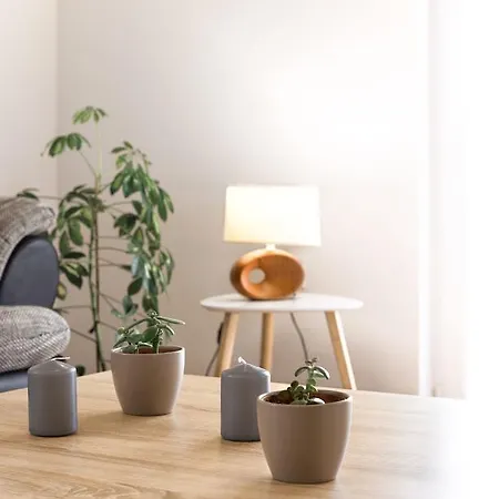 Arta Apartment *